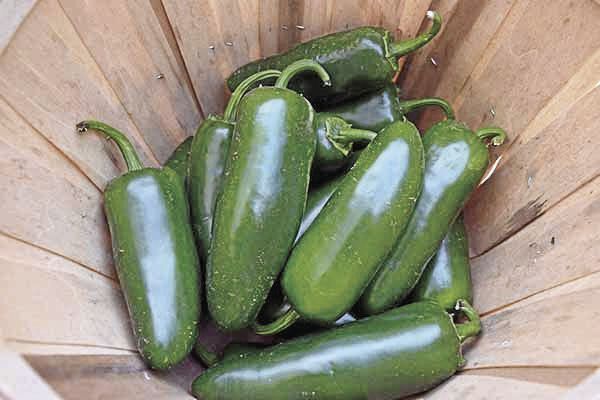 Jalapenos